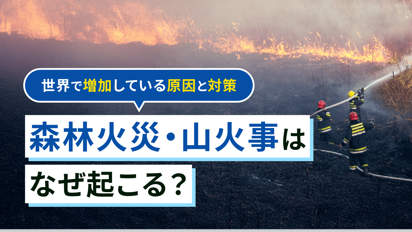 森林火災・山火事はなぜ起こる？事例や世界で増加している原因と対策について
