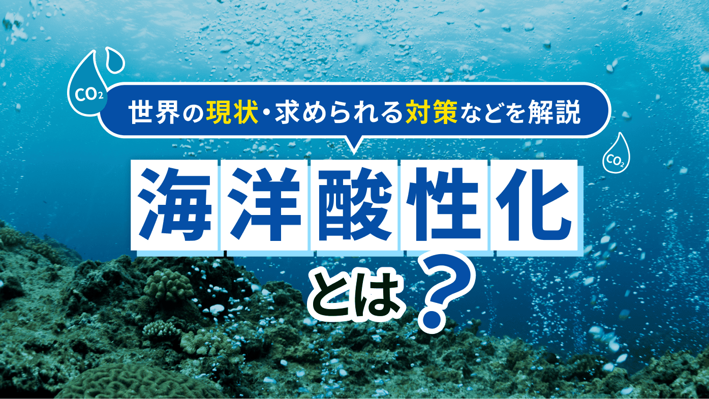 海洋酸性化とは？原因や仕組みのほか世界の現状・求められる対策について