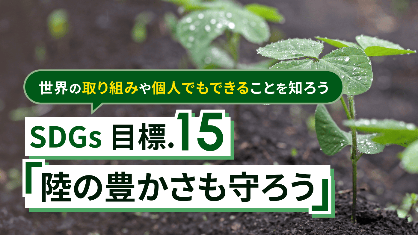 SDGsの目標の一つ「陸の豊かさも守ろう」とは？世界の取り組みや個人でもできることを知ろう