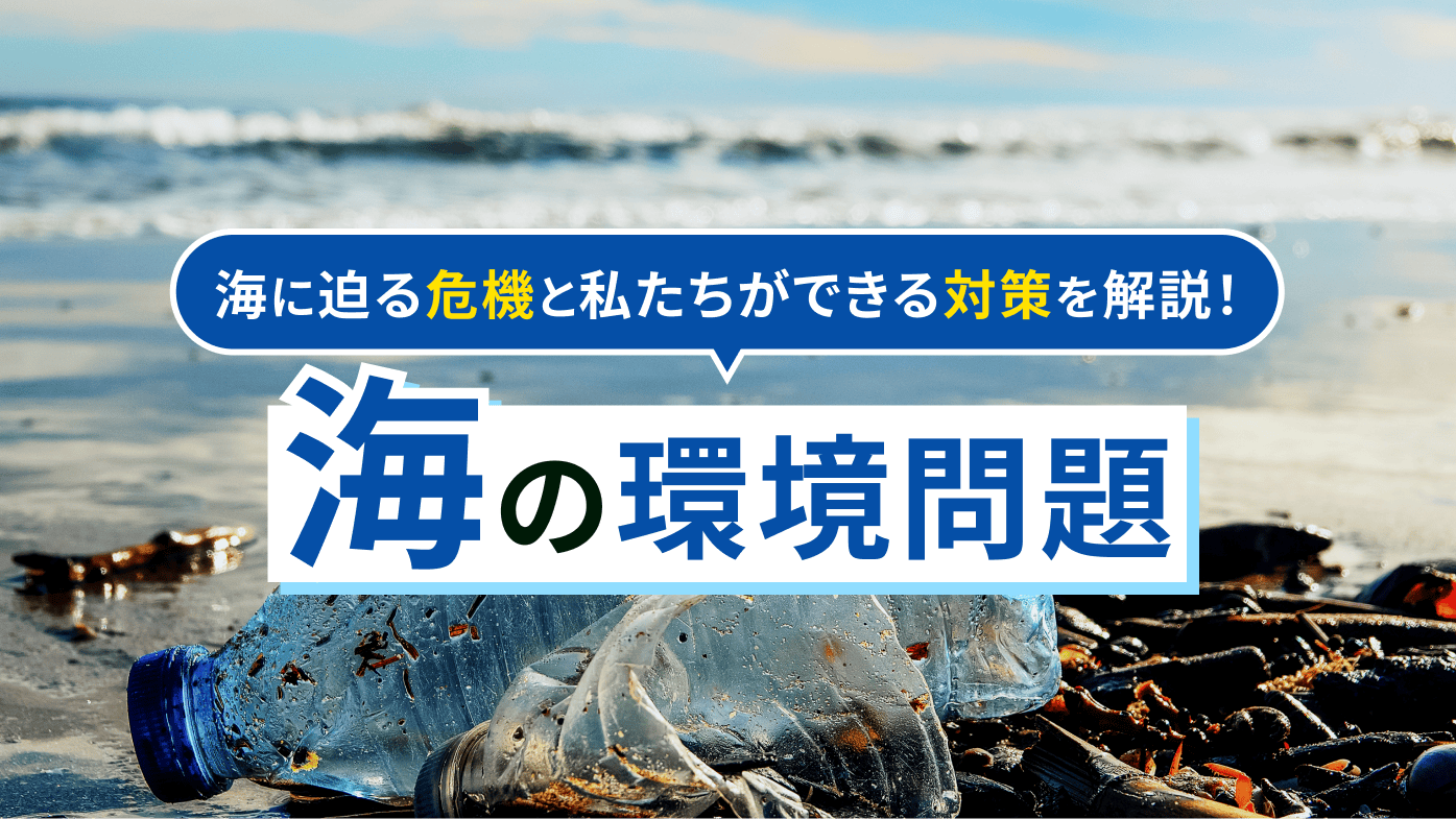 海の環境問題とは？海に迫る危機と私たちができる対策について解説！