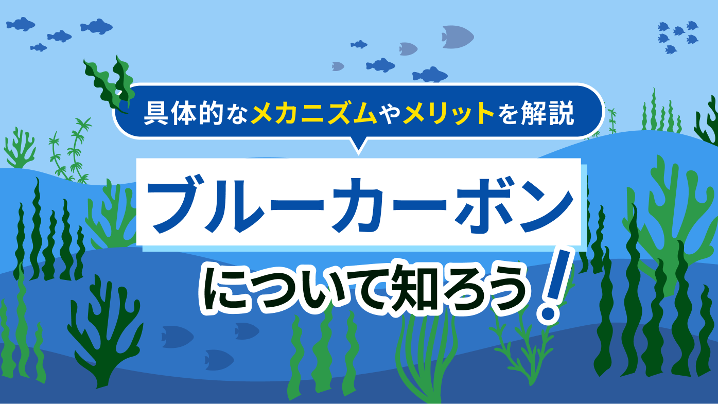 ブルーカーボンとは？具体的なメカニズムやメリットのほか課題までわかりやすく解説
