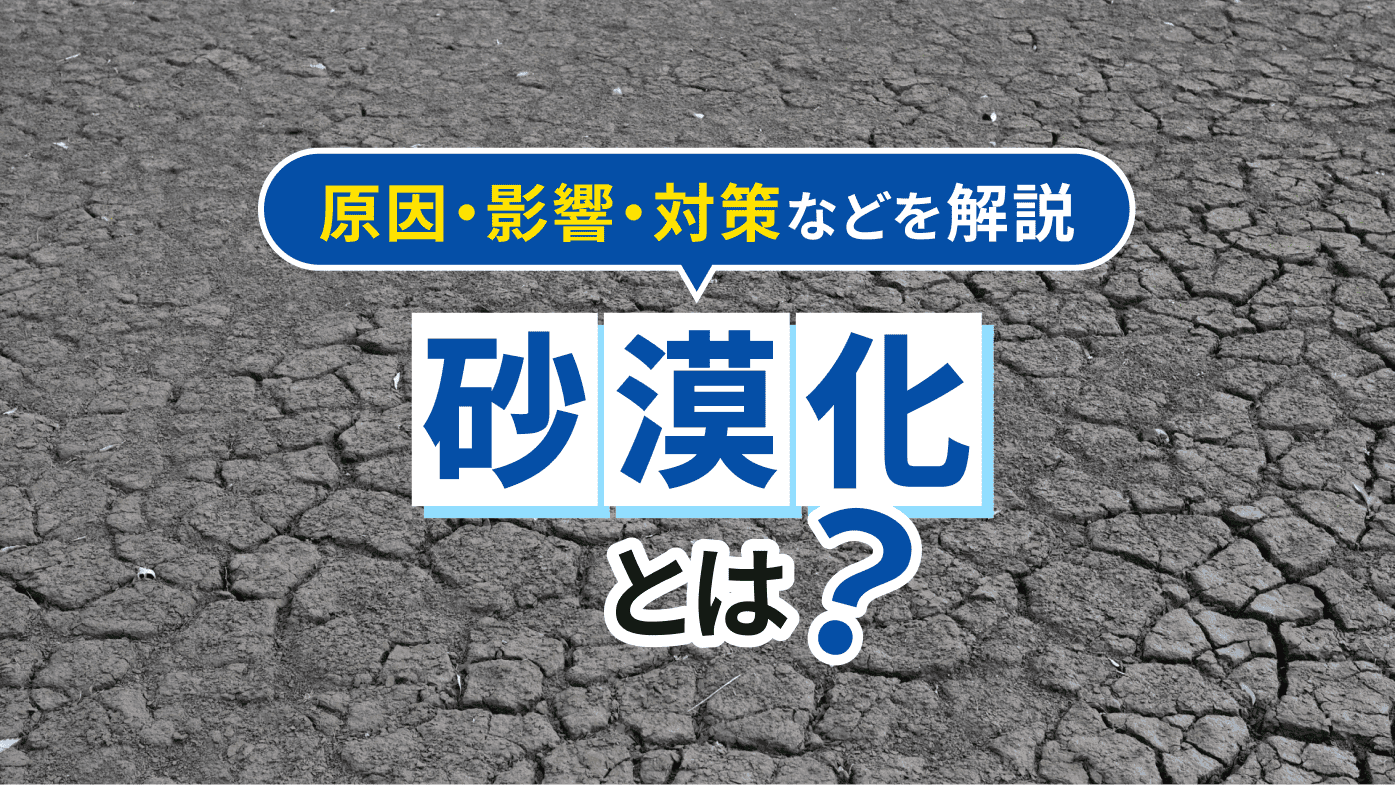 砂漠化とは？原因・影響・対策のほか私たちにできることまで解説