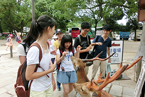 学校主催の企画で奈良を訪れた蘇州高校生と大阪教育大学附属高校池田校舎の生徒たち