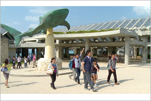 ホストファミリーと美ら海水族館へ右 ダゴン高校プョ カン コ