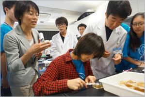 千葉市立千葉高校で葉緑素を取り出す実験をした蘇州の高校生