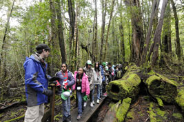 「クレイドルマウンテン」国立公園の森を視察する子供たち