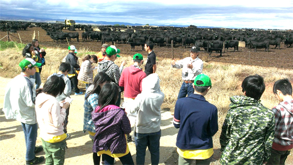 3/28 タスマニア フィードロット社の牧場で、環境に配慮し安全・安心にこだわったトップバリュ タスマニアビーフについて学習するメンバー
