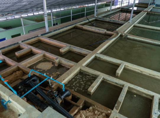 浄水施設の建築
