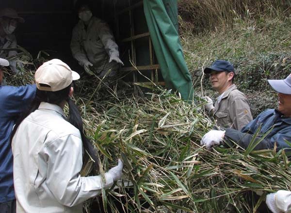 地域未利用資源を活用した 牛用ペレット飼料の開発