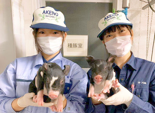 エコフィードで地域にあかりを! 持続可能な畜産の輪を伊勢志摩の地から