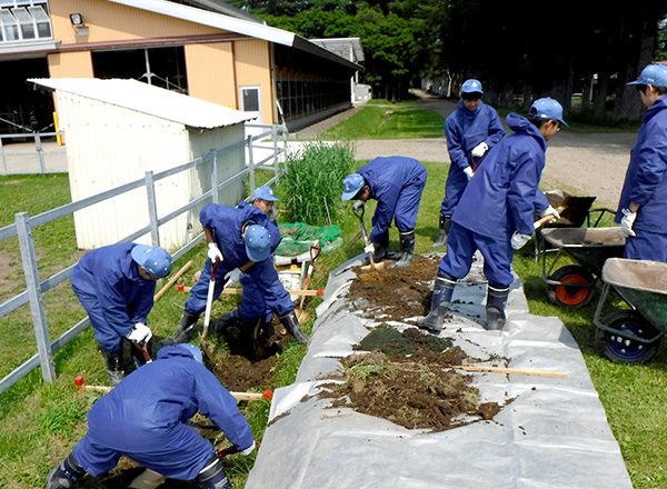 「地域の水を守る」十勝産資材を利用した人工湿地の開発