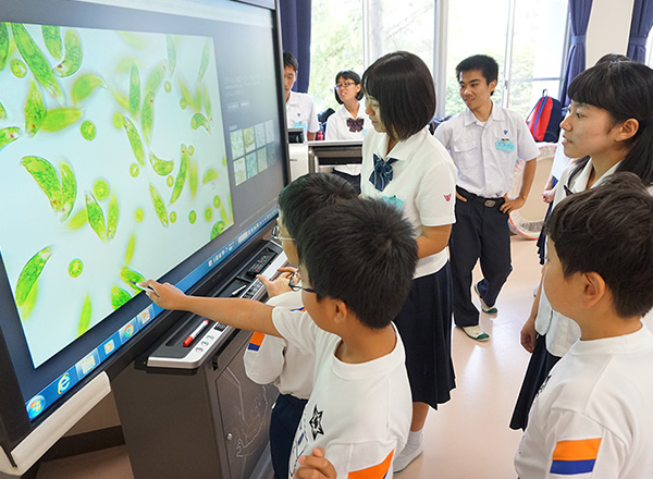 みんなではじめる「e-coねっと」ごみ減量化作戦