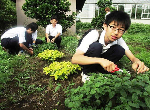地域交流活動から国際貢献につながる取り組みの模索