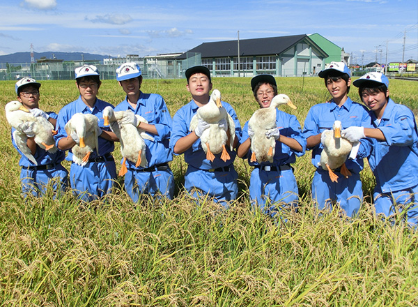羽ばたけアヒル農法 ～アヒル農法による生物多様性の保全～
