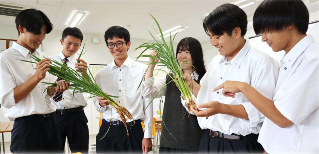 肥料３分の２削減プロジェクト ～Re:温故知新～