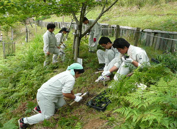 蝶の舞う街づくりと絶滅危急種 昆虫少年・少女の復活プロジェクト