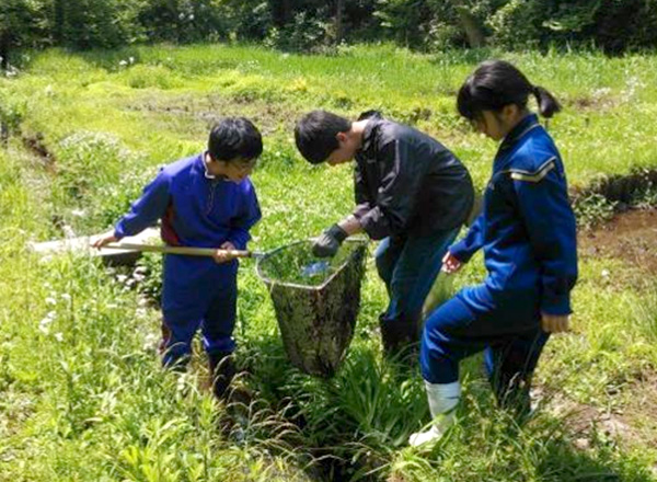 都市部における里山保全の活動と取り組み