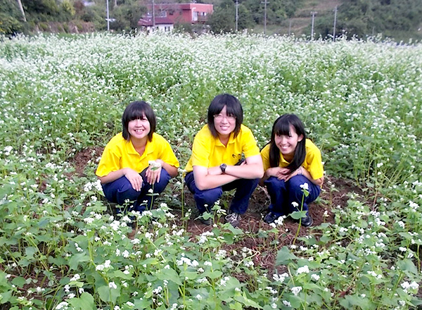 里山に風穴をあける ～どこでもできる休耕田オーナー制度の提案～