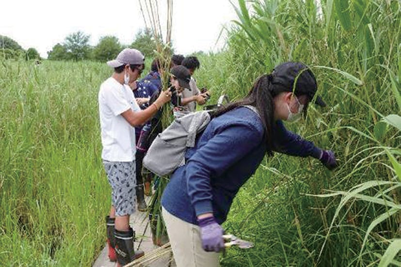 日本遺産「里沼」の保全活動 ～地域に愛される湿原を目指して～